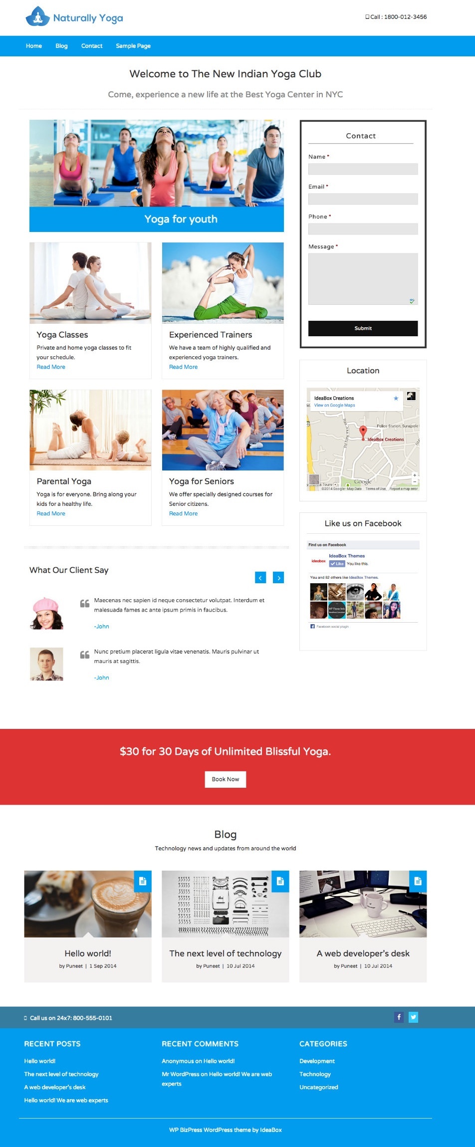 WP_BizPress_Theme___Just_another_IdeaBox_Themes_Sites_site